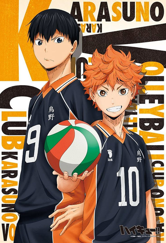 Haikyuu Karasuno Poster